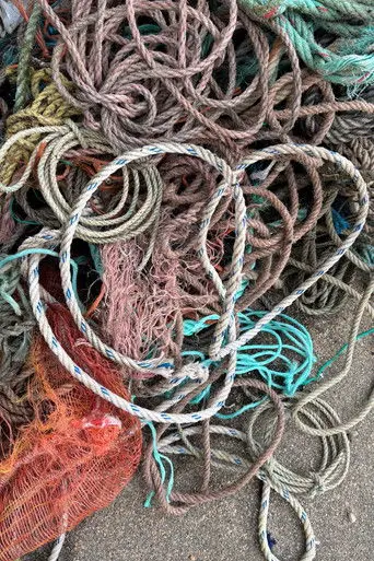 Redeiras de A Guarda (2026)