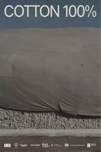 Cotton 100% (2022)