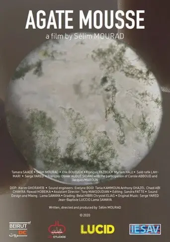 Moss Agate (2021)