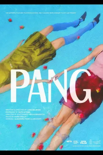 Pang (2026)