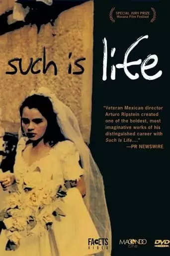 Such is Life (2001)