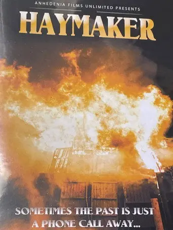 Haymaker (2022)