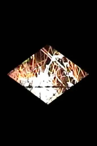 Diamondback (2008)