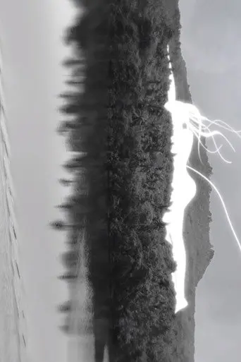 Umbilical Cord to Heaven (2020)