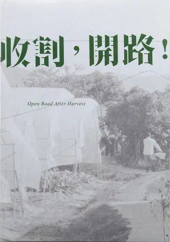Open Road After Harvest (2015)