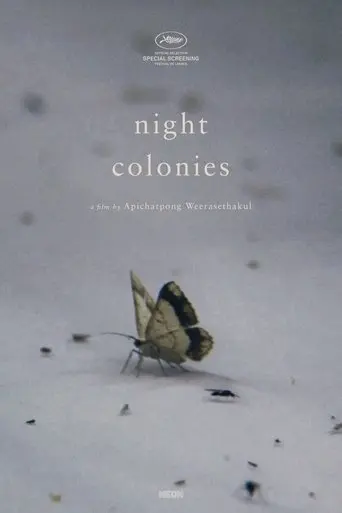 Night Colonies (2021)