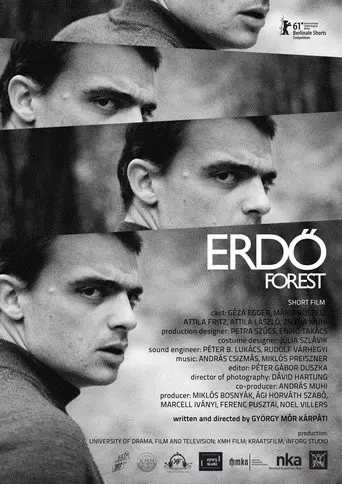 Forest (2011)