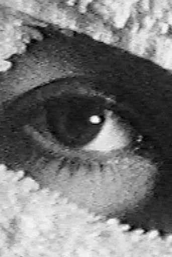 Pneurosis (en el baño) (2001)