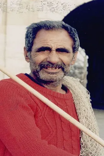 Columba urbica (1995)