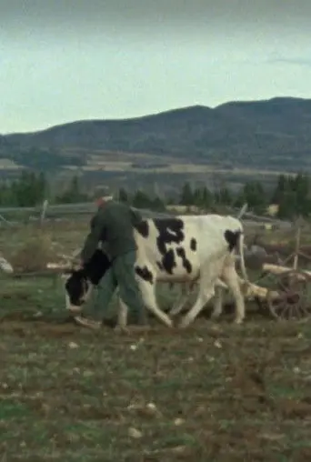 Les boeufs de labour (1977)