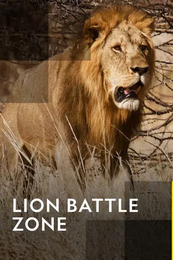 Lion Battle Zone (2012)