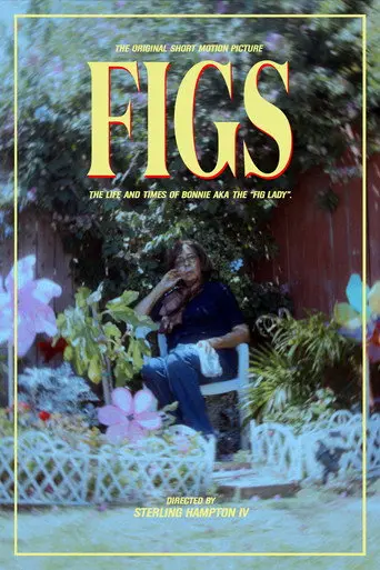 Figs (2023)