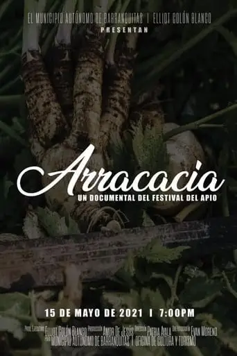 Arracacia: A Celery Festival Documentary (2024)