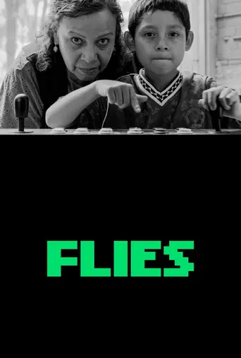 Flies (2026)