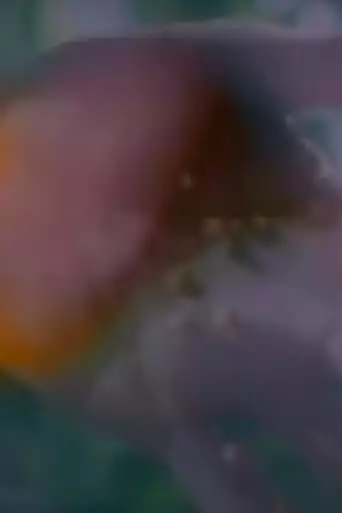 Birth (1997)
