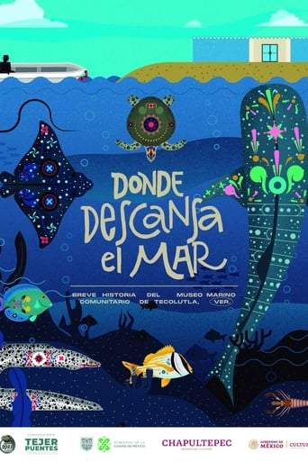 Donde Descansa El Mar: Breve Historia Del Museo Marino Comunitario De Tecolutla (2022)