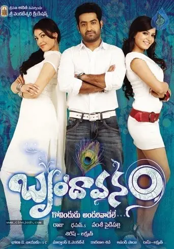 Brindavanam (2010)