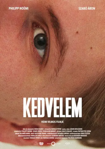 Liked it (2022)