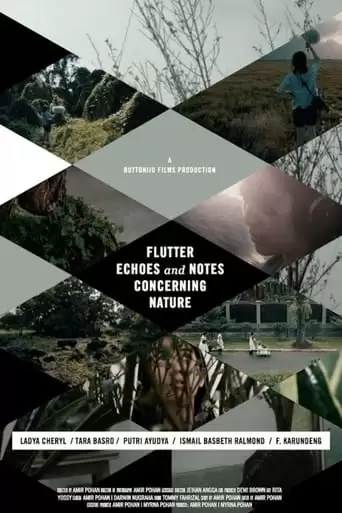 Flutter Echoes And Notes Concerning Nature (2015)