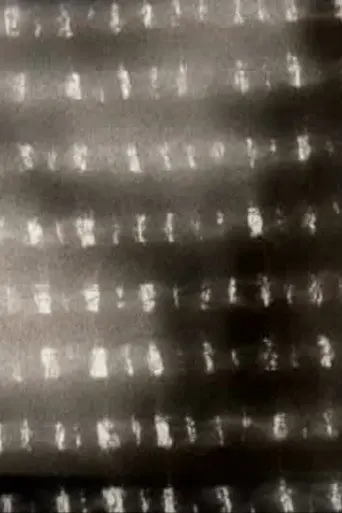 Tessitura calda (2013)