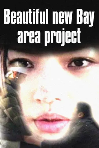 Beautiful New Bay Area Project (2013)