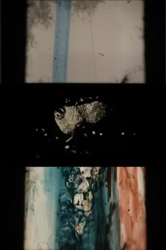The Rip (2011)