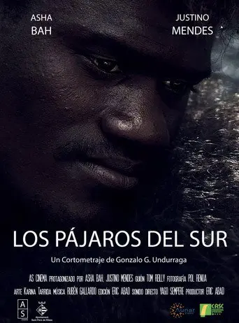 Los Pájaros del Sur (2020)
