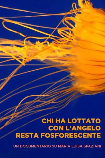 Chi ha lottato con l'angelo resta fosforescente (2013)