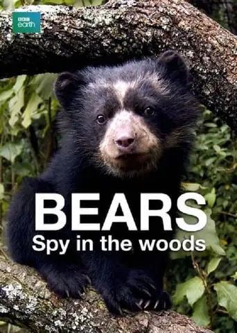 Bears: Spy In The Woods (2004)