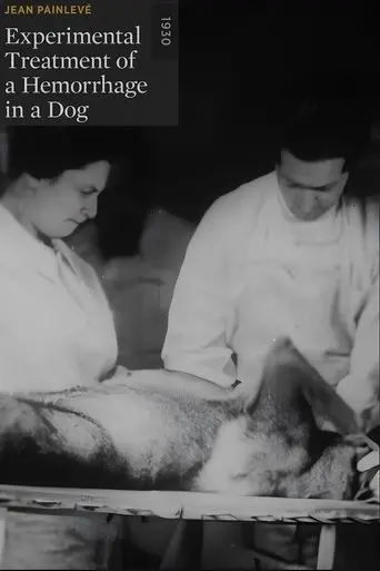 Experimental Treatment of a Hemorrhage in a Dog (1930)