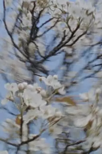 Four Seasons Bouquet (2022)