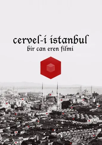 Cervel-i İstanbul (2013)