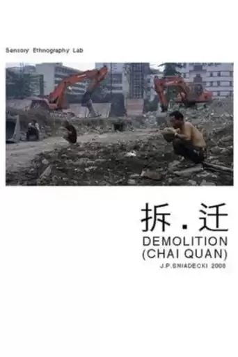 Demolition (2008)