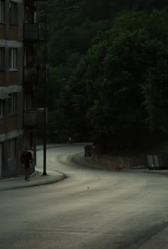 Meanwhile (2017)