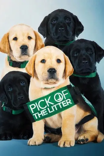 Pick Of The Litter (2019)