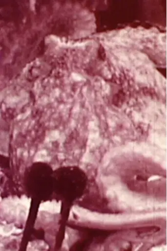 Aurora Borealis (2002)