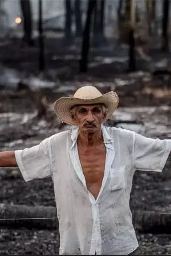 O Itinerario De Cicatrizes (2023)