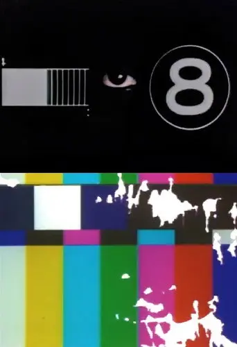 Vagina & Virgin (1995)