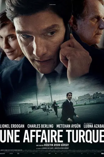 A Turkish case (2026)