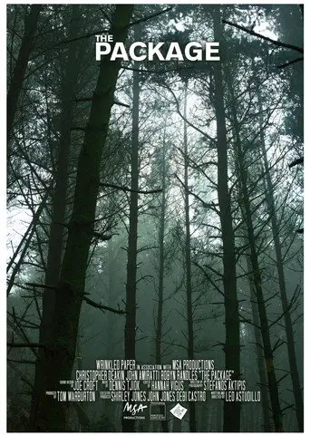 The Package (2018)