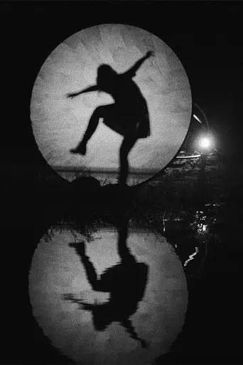 Shadow Nettes (2017)