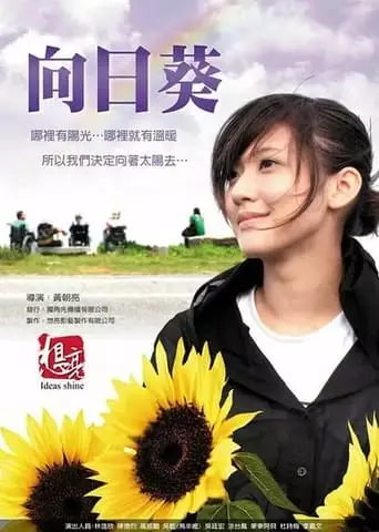 Sun Flowers (2010)