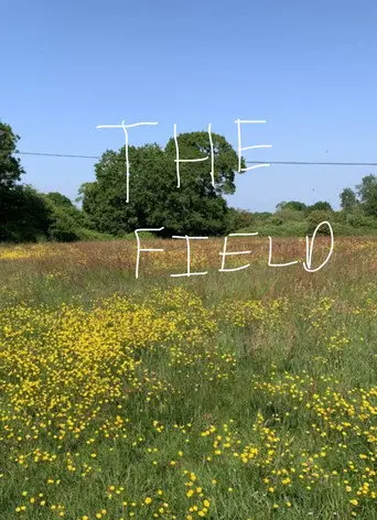 The Field (2013)