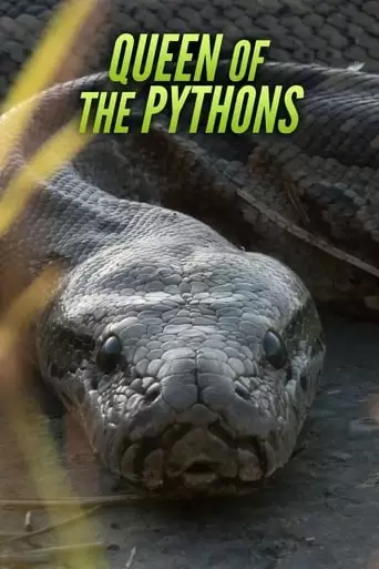 Queen Of The Pythons (2019)