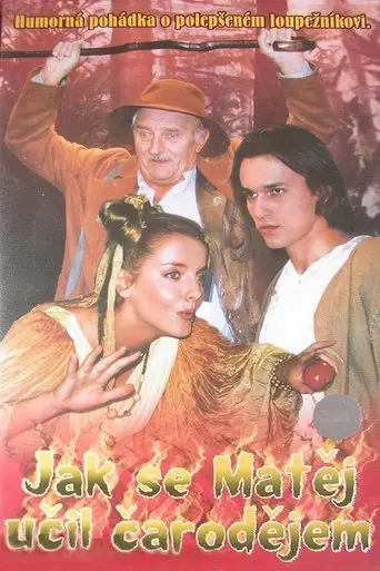 Jak se Matěj učil čarodějem (1998)