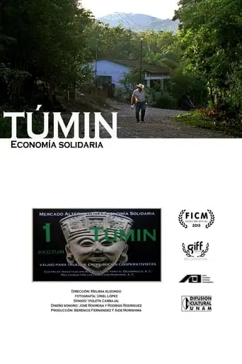 Tumin. Solidary Economy (2013)