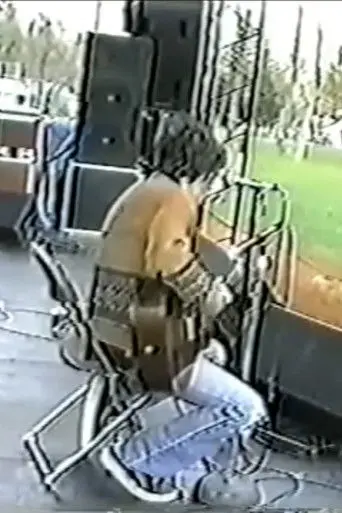 John Frusciante Live at the Denison University in Granville, Ohio (1997)