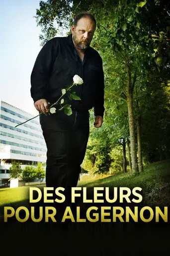 Flowers for Algernon (2014)