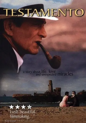 Napomuceno's Will (1997)