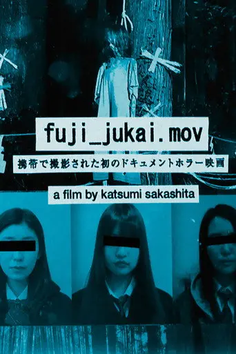 fuji_jukai.mov (2016)